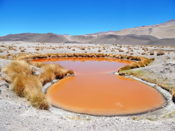 Foto 1/Giseres del Salar de Antofalla!!