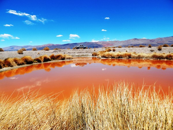 Foto 3/Giseres del Salar de Antofalla!!