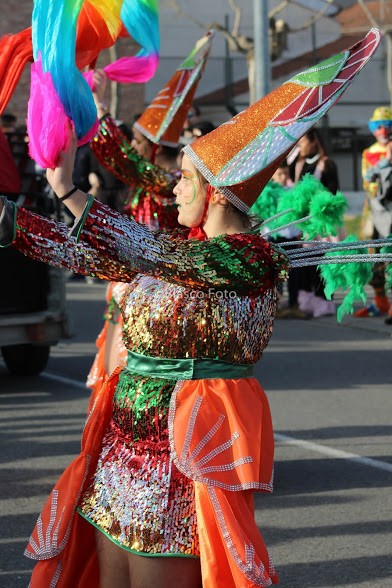 Foto 4/Se acercan los Carnavales