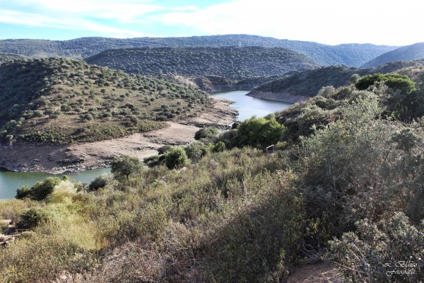 Foto 5/Parque Nacional de Monfrage