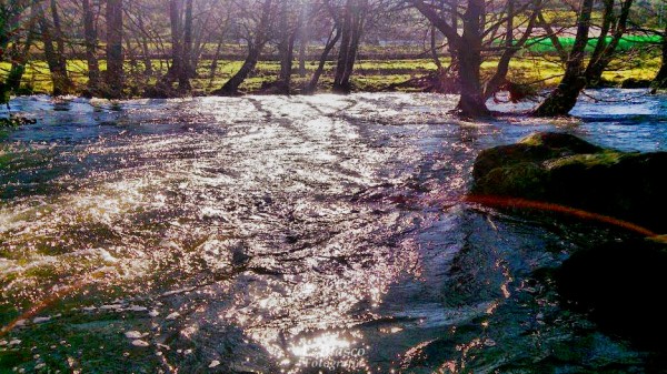 Foto 5/Parque de La Isla, Plasencia