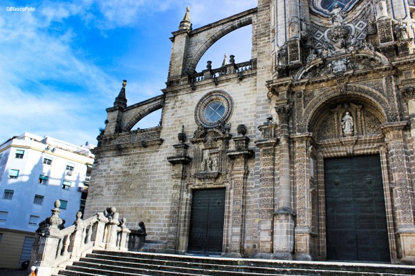 Foto 3/Catedral de Jerez de la Frontera, Cdiz