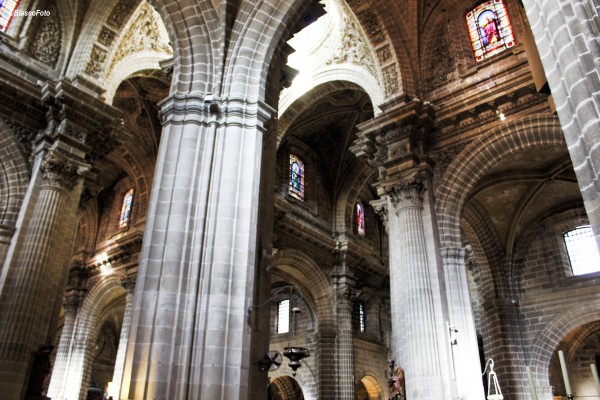 Foto 5/Catedral de Jerez de la Frontera, Cdiz