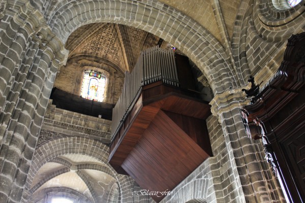 Foto 2/La Catedral de Jerez de la Frontera