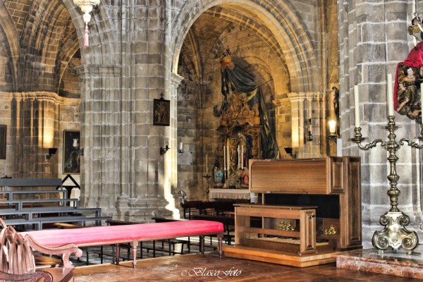 Foto 4/La Catedral de Jerez de la Frontera