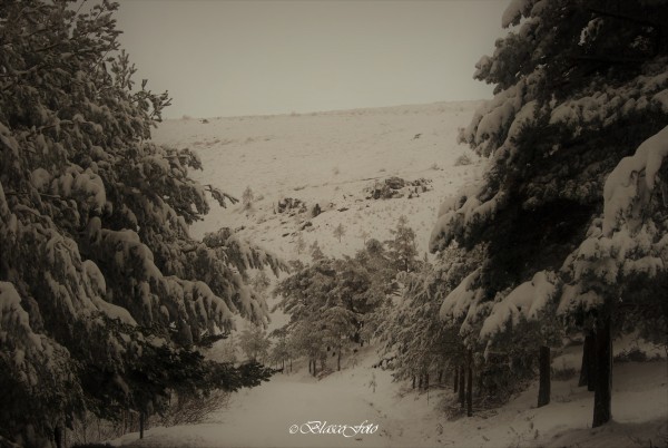 Foto 4/Candelario, Salamanca