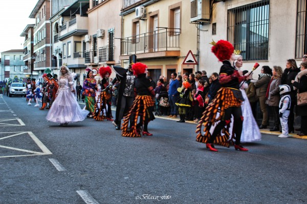 Foto 5/Viviendo los Carnavales