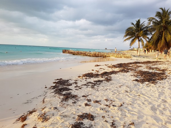 Foto 4/Isla Mujeres