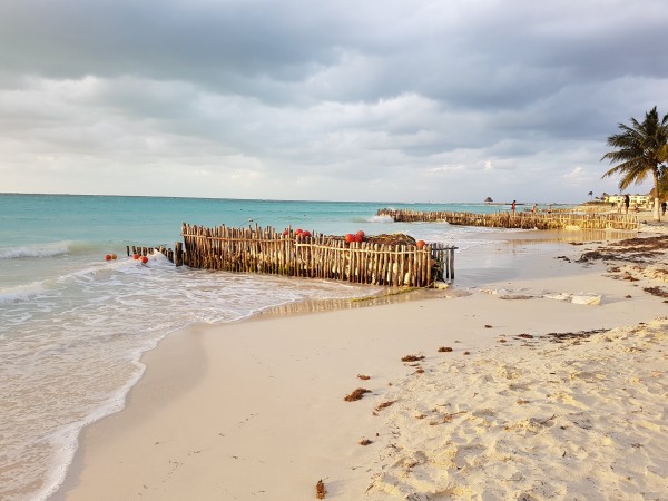 Foto 5/Isla Mujeres