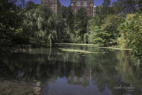 Foto 4/`El central Parck`