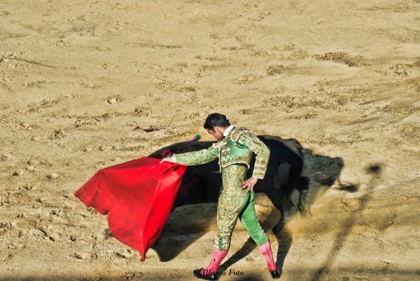 Foto 1/Tarde de toros