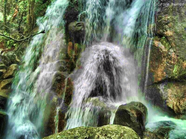 Foto 1/Cascadas de las Nogaledas