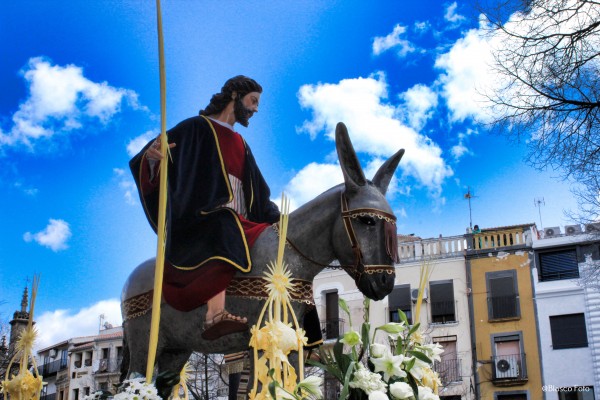 Foto 5/Domingo de Ramos, Plasencia