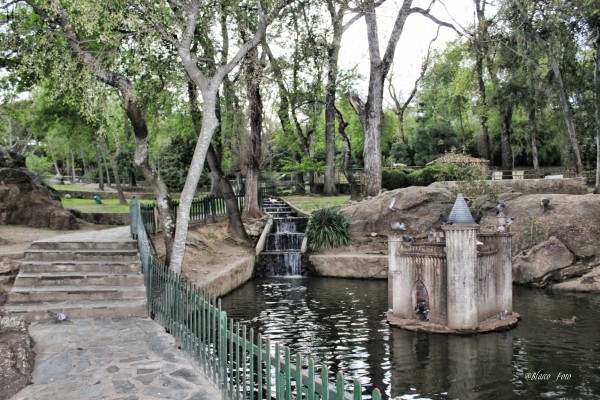 Foto 4/Parque de los Pinos, Plasencia