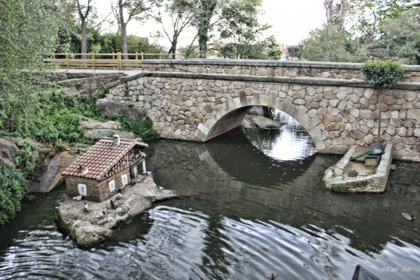 Foto 5/Parque de los Pinos, Plasencia