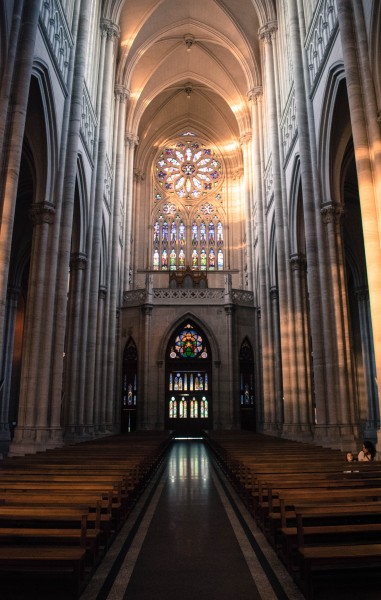 Foto 3/Catedral de La Plata