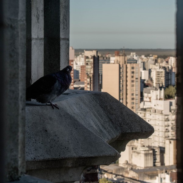 Foto 4/Catedral de La Plata