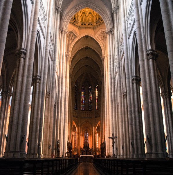 Foto 5/Catedral de La Plata