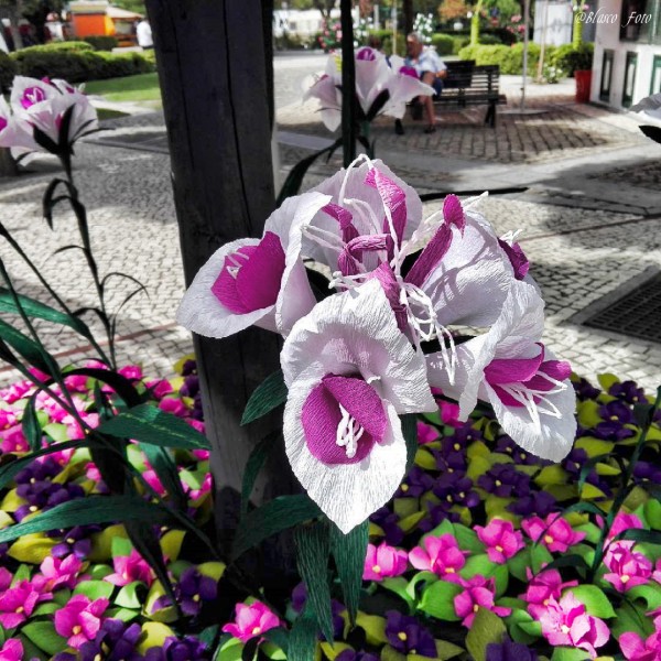 Foto 1/Flores de papel, Campo Maior (Portugal)