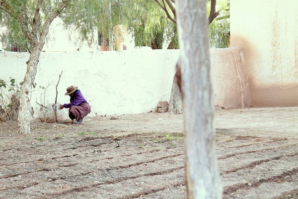 Foto 3/Mujeres Latinoamericanas en el mundo del trabajo