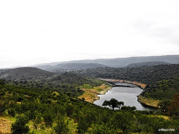 Foto 5/Parque Nacional de Monfrage