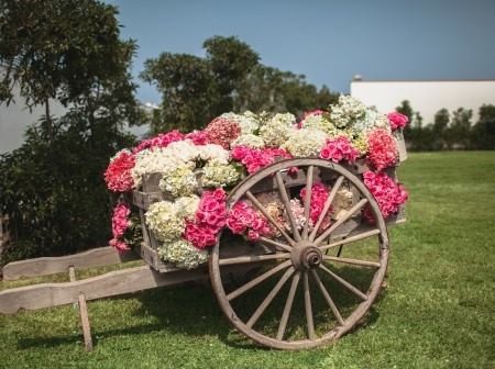 Foto 5/belleza para los ojos