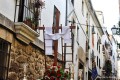 Procesin Cruz de Mayo, Plasencia