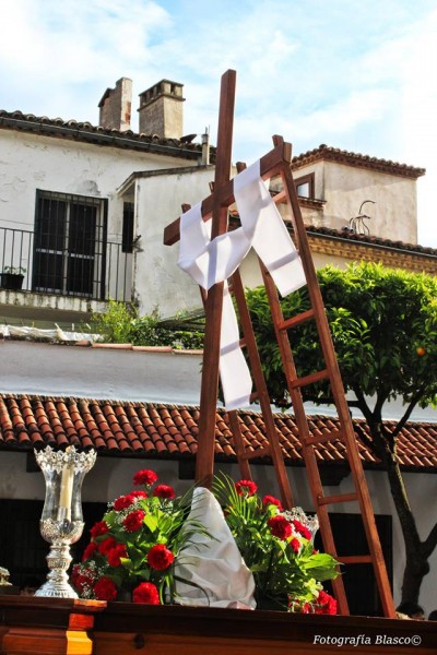 Foto 5/Procesin Cruz de Mayo, Plasencia