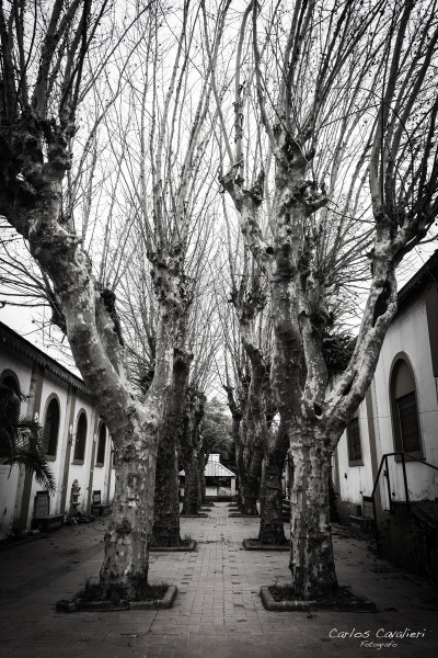 Foto 3/Museo naval de Tigre