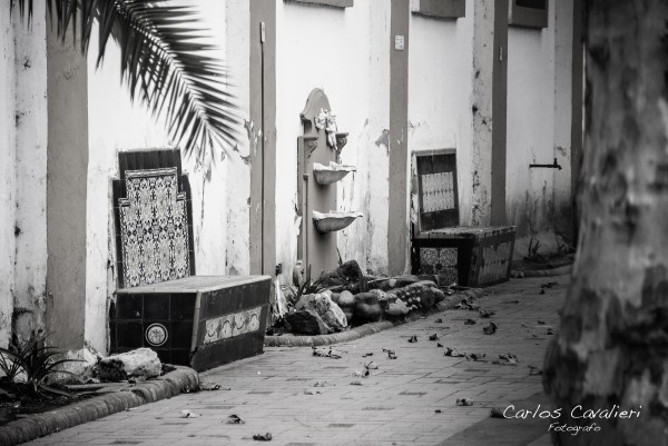 Foto 4/Museo naval de Tigre