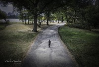 La soledad en la ciudad