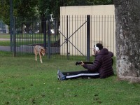 Un paseo por Parque Lezama