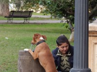 Un paseo por Parque Lezama