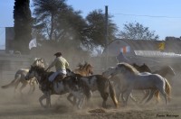 Entrevero de tropillas