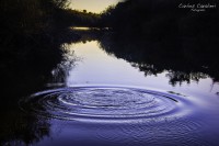 El agua ese maravilloso elemento