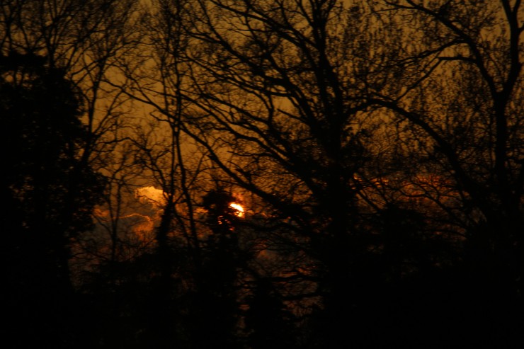 Foto 1/`Amanecer en el tren`