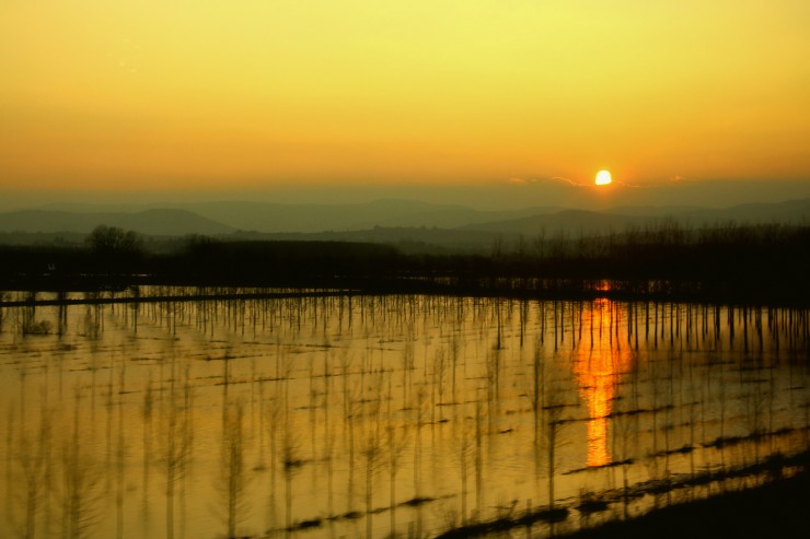 Foto 5/`Amanecer en el tren`