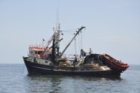 barcos pesqueros de Iquique Chile