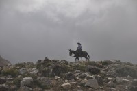 los arrieros del paso del Portillo