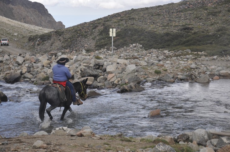 Foto 2/los arrieros del paso del Portillo