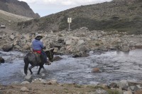 los arrieros del paso del Portillo