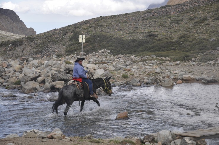 Foto 3/los arrieros del paso del Portillo