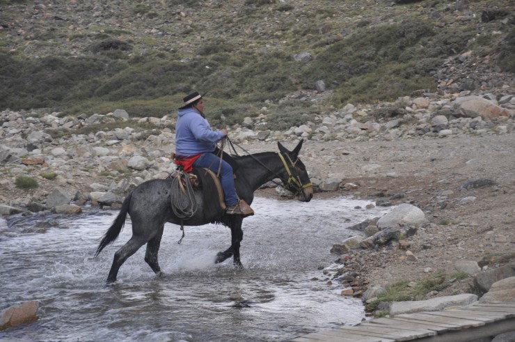 Foto 4/los arrieros del paso del Portillo