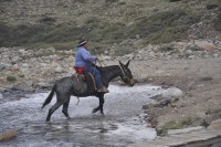 los arrieros del paso del Portillo