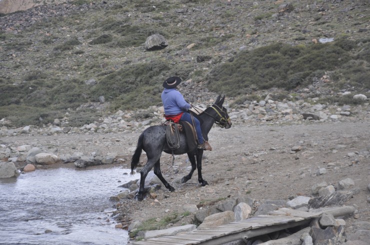 Foto 5/los arrieros del paso del Portillo