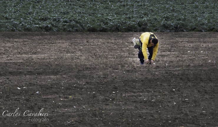 Foto 3/Todos en sus trabajos...