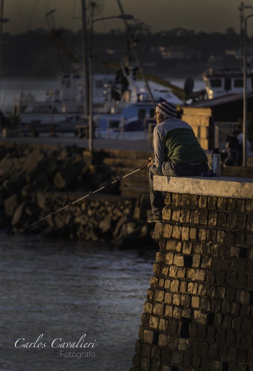 Foto 3/La vida en el puerto