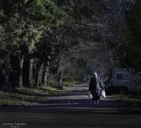 La vida en el suburbio del oeste