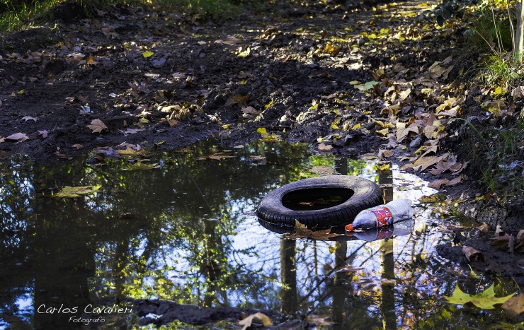 Foto 4/La vida en el suburbio del oeste