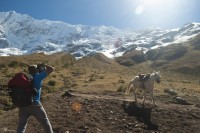 Cordillera de los Andes. Per